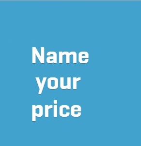 Woocommerce Name Your Price